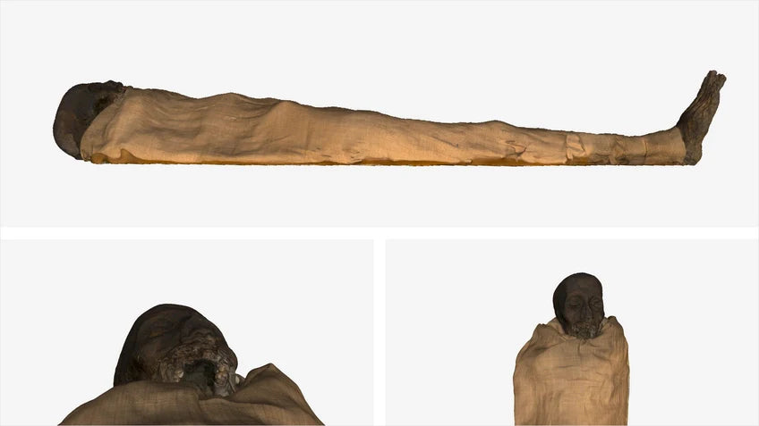 Unwrapping History: How 3D Scanning Brought a Pharaoh’s Mummy to Life